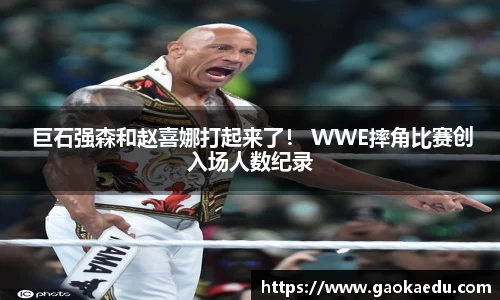  巨石强森和赵喜娜打起来了！ WWE摔角比赛创入场人数纪录